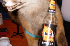 Krambambuli4